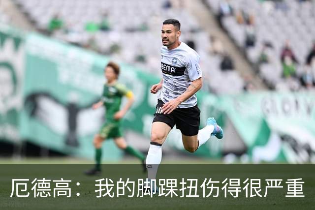 厄德高：我的脚踝扭伤得很严重